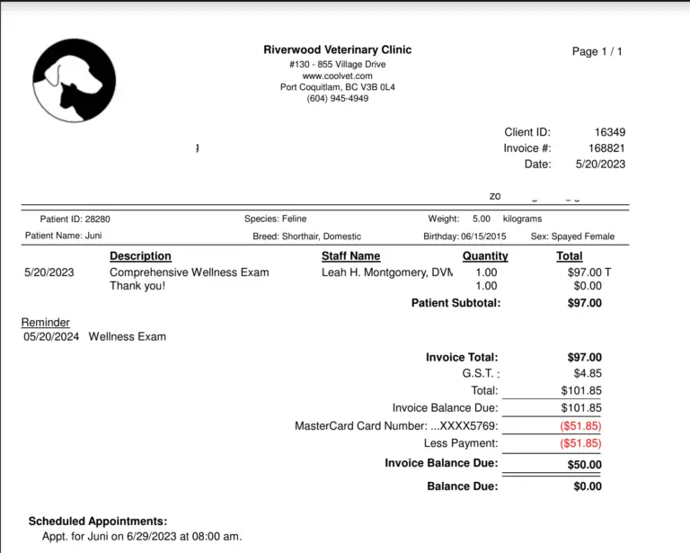 riverwood_vet_receipt