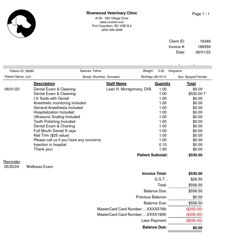 riverwood_vet_receipt