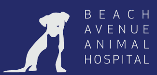Beach_avenue_animal_hospital_logo
